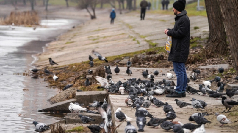 До +11 °C — яка погода буде в Україні наступного тижня