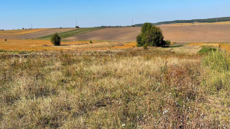 Чи можна узаконити землю та дім під час війни